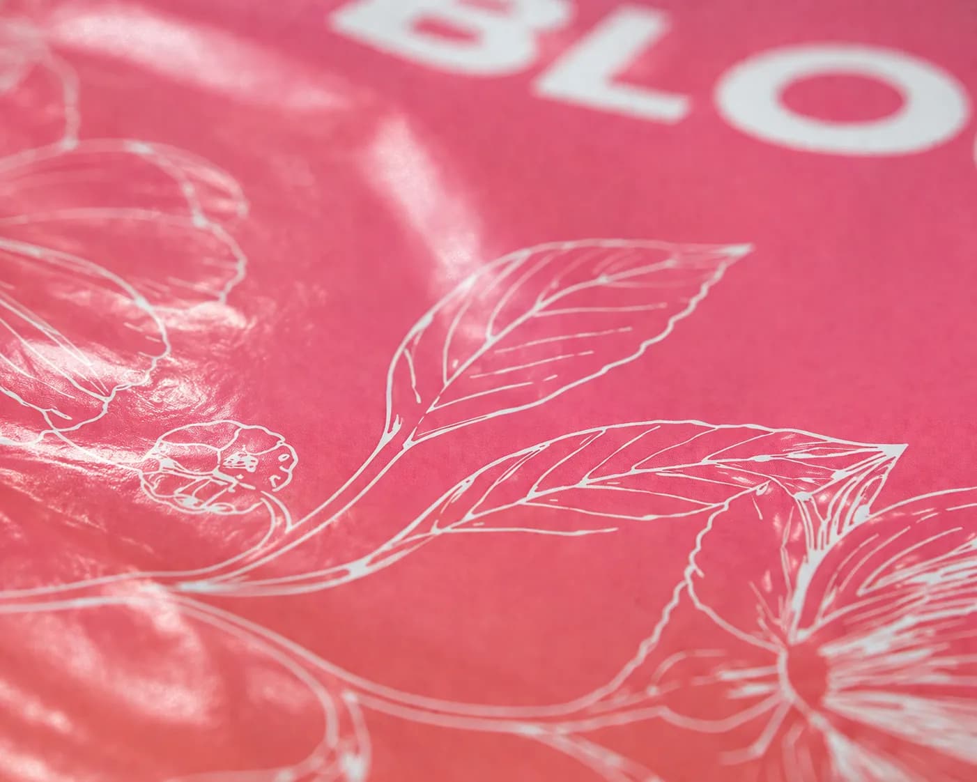 Custom Poly Mailers detail